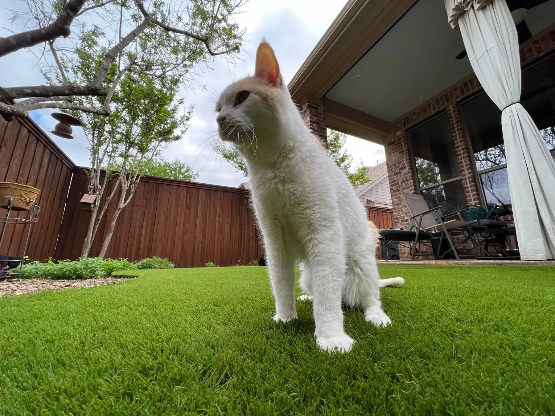 Landscape & Pet Turf project by Diamond Field Systems