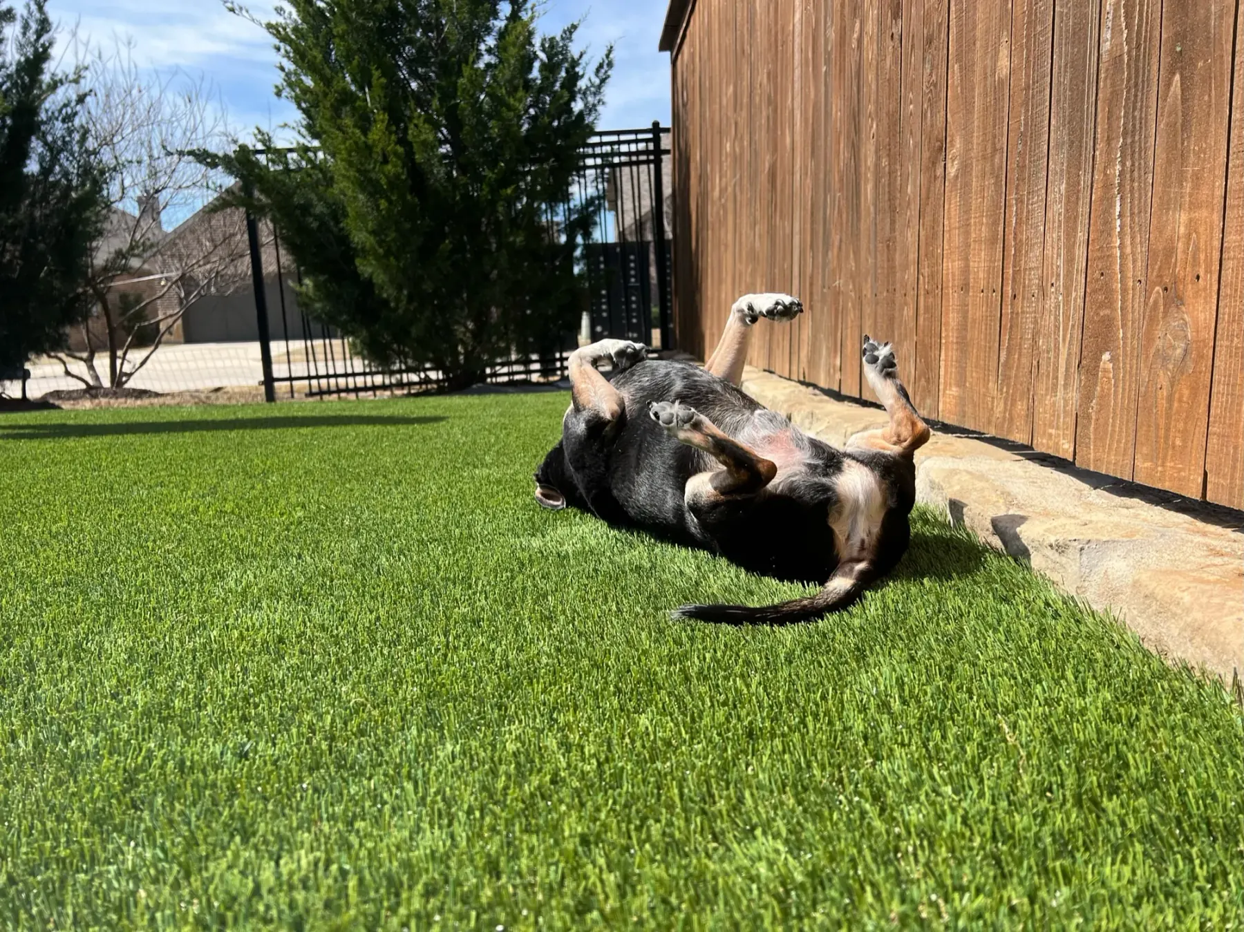 Landscape & Pet Turf project by Diamond Field Systems
