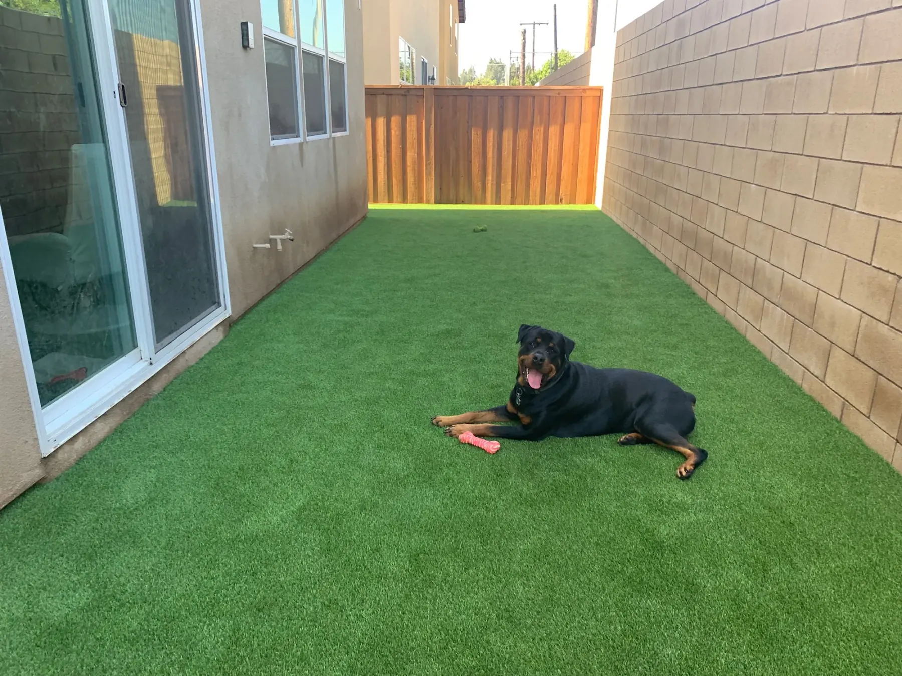 Landscape & Pet Turf project by Diamond Field Systems