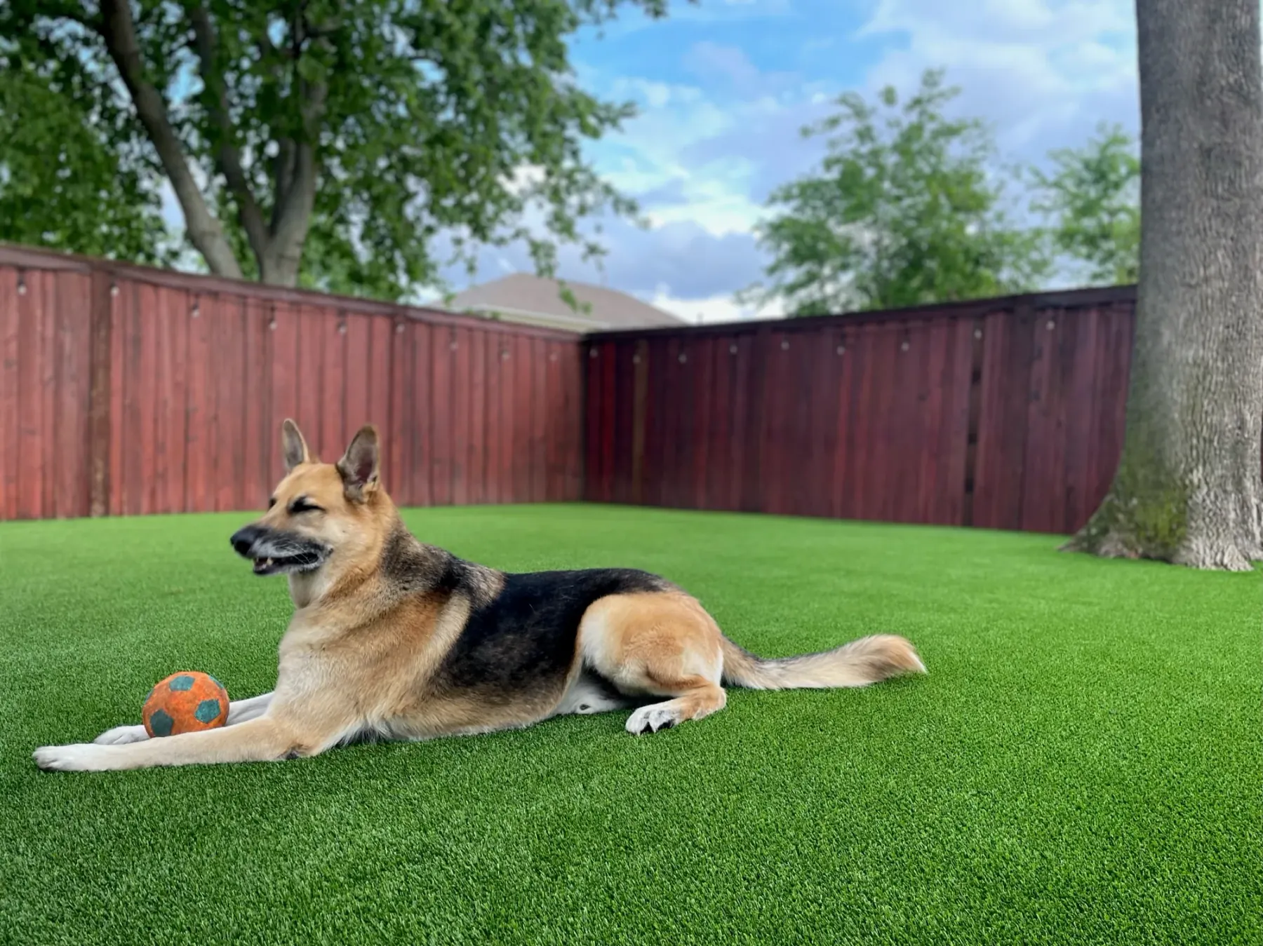 Landscape & Pet Turf project by Diamond Field Systems
