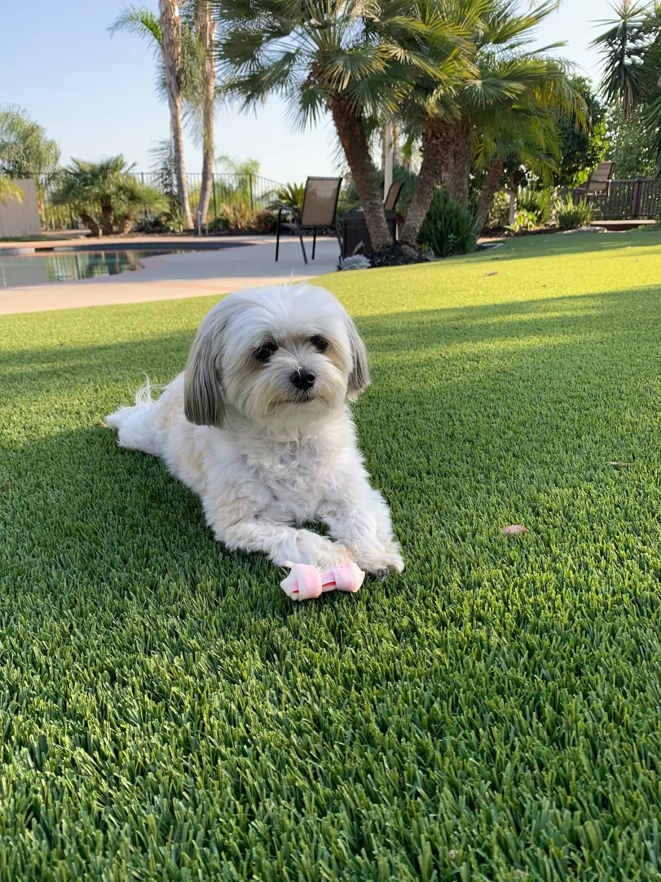 Landscape & Pet Turf project by Diamond Field Systems